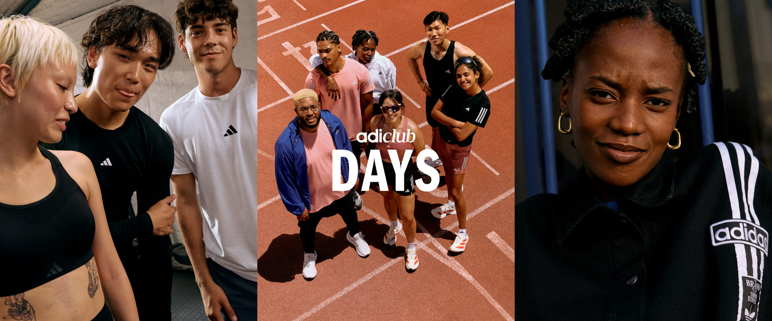 banner_hero-d_triptych_1