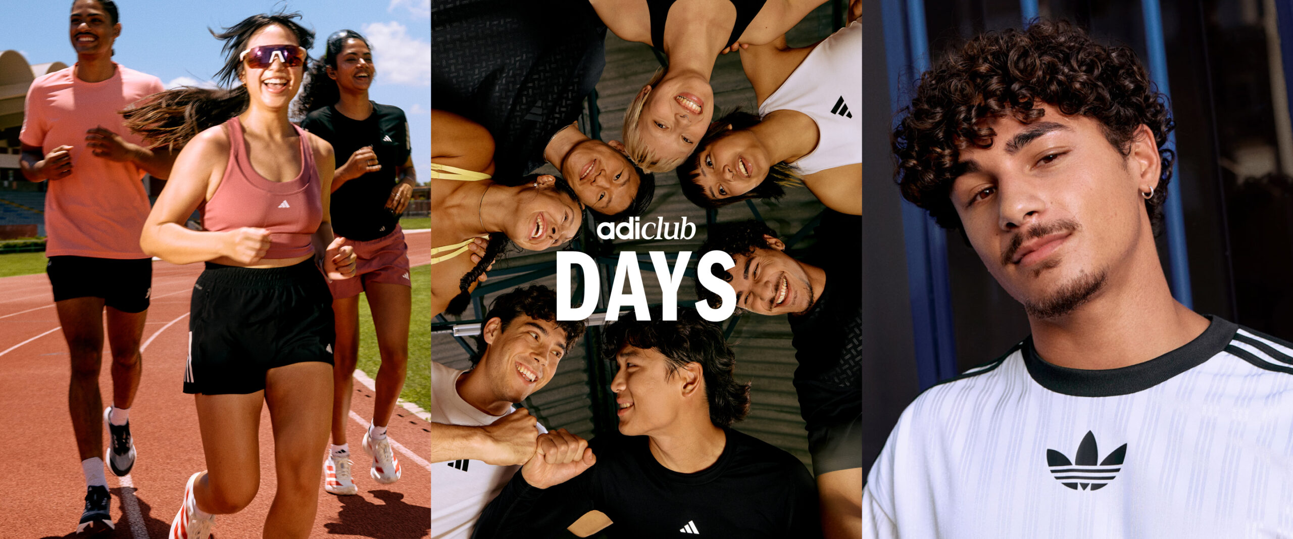 banner_hero-d_triptych_2