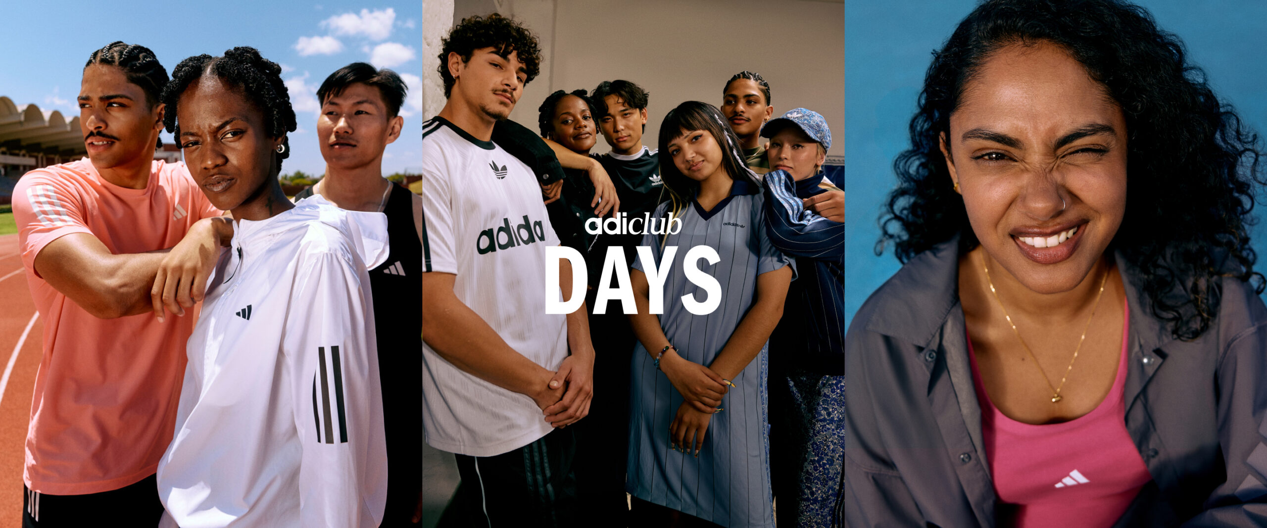 banner_hero-d_triptych_3