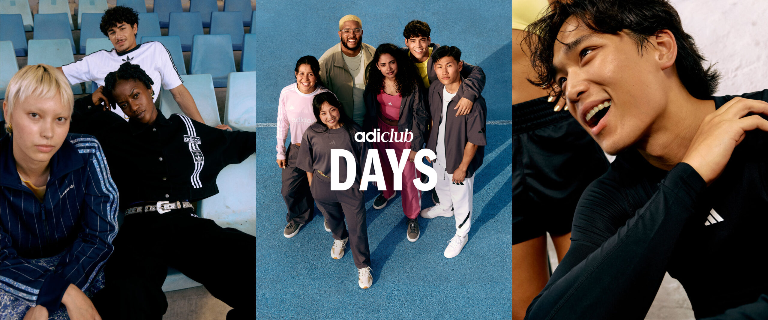 banner_hero-d_triptych_4